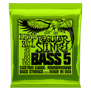Ernie Ball Regular Slinky 5 string Bass