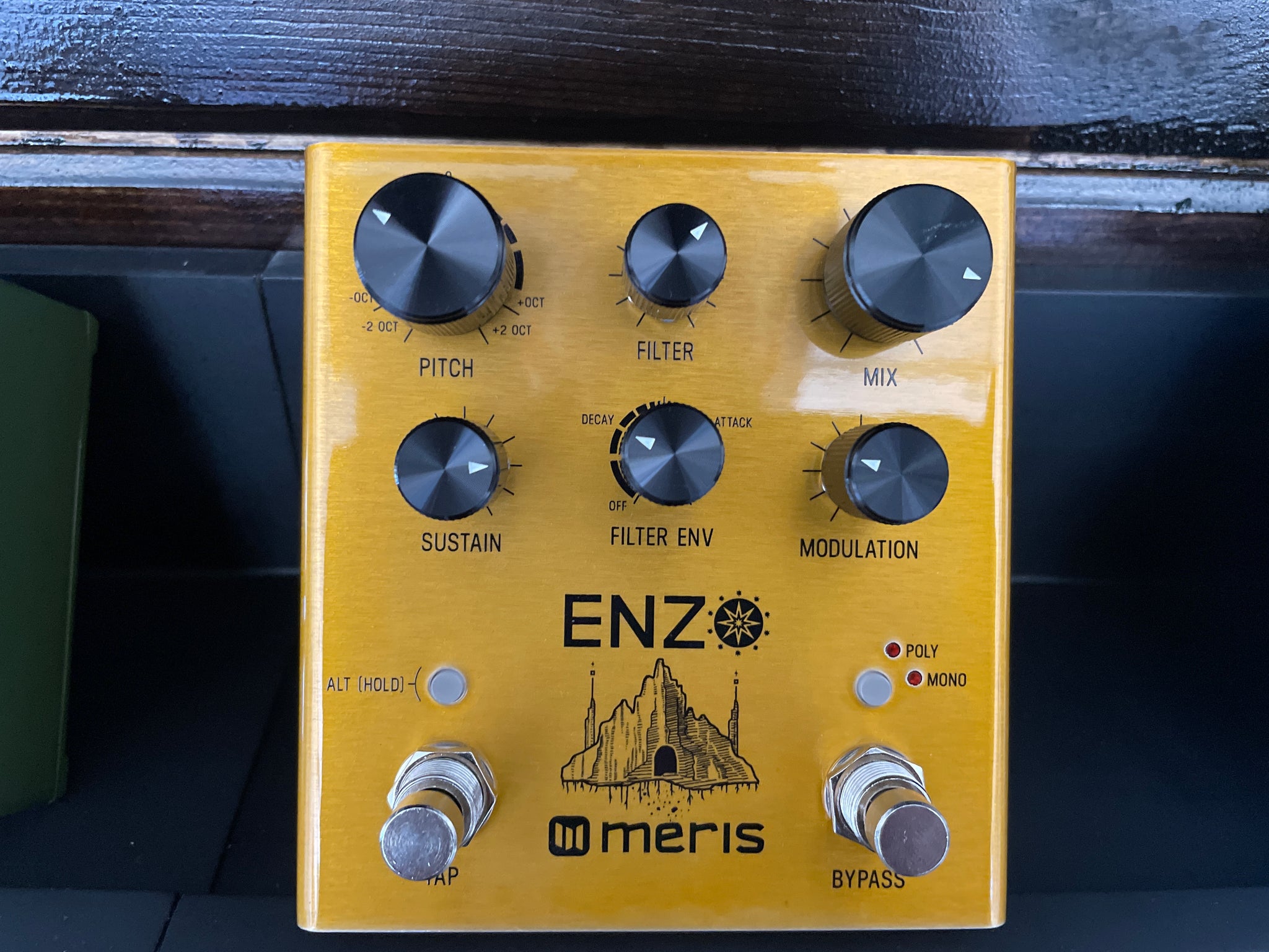 Meris Enzo – Dunable Guitar Shop